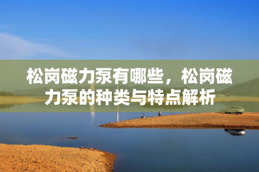 松岗磁力泵有哪些，松岗磁力泵的种类与特点解析