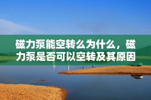 磁力泵能空转么为什么，磁力泵是否可以空转及其原因解析