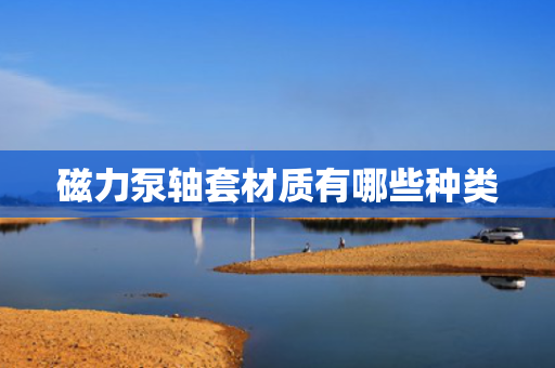 磁力泵轴套材质有哪些种类