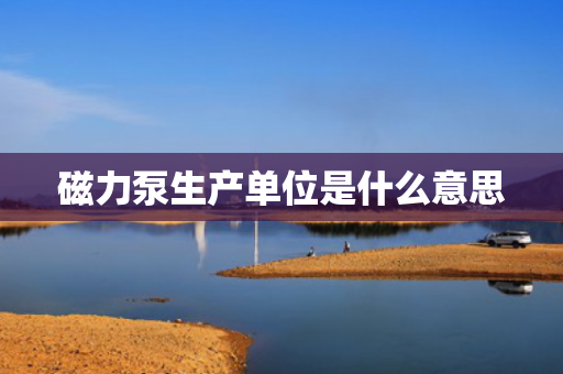 磁力泵生产单位是什么意思