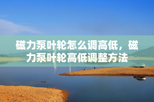 磁力泵叶轮怎么调高低，磁力泵叶轮高低调整方法