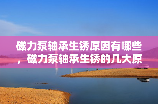 磁力泵轴承生锈原因有哪些，磁力泵轴承生锈的几大原因解析
