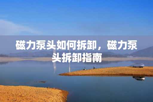 磁力泵头如何拆卸，磁力泵头拆卸指南