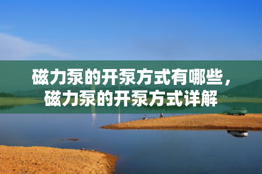 磁力泵的开泵方式有哪些，磁力泵的开泵方式详解
