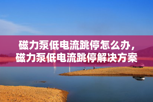 磁力泵低电流跳停怎么办，磁力泵低电流跳停解决方案