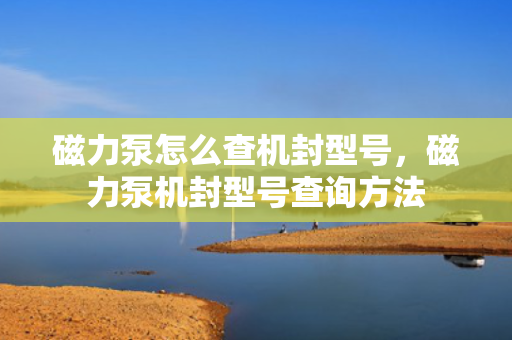 磁力泵怎么查机封型号，磁力泵机封型号查询方法