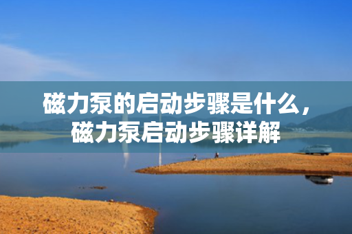 磁力泵的启动步骤是什么，磁力泵启动步骤详解