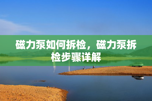 磁力泵如何拆检，磁力泵拆检步骤详解