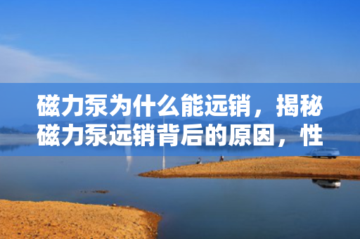 磁力泵为什么能远销，揭秘磁力泵远销背后的原因，性能卓越与市场需求共赢