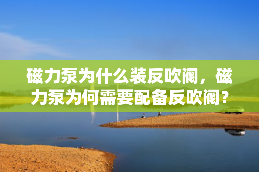 磁力泵为什么装反吹阀，磁力泵为何需要配备反吹阀？