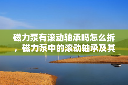 磁力泵有滚动轴承吗怎么拆，磁力泵中的滚动轴承及其拆卸方法解析