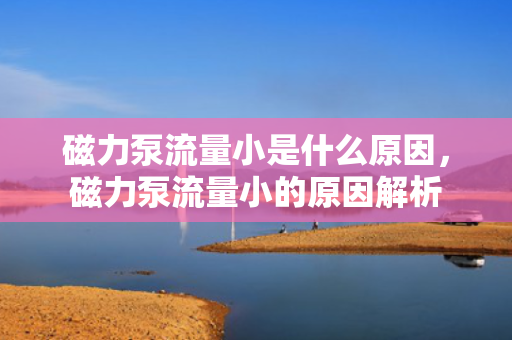 磁力泵流量小是什么原因，磁力泵流量小的原因解析