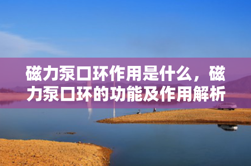 磁力泵口环作用是什么，磁力泵口环的功能及作用解析