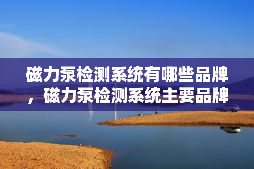 磁力泵检测系统有哪些品牌，磁力泵检测系统主要品牌概览