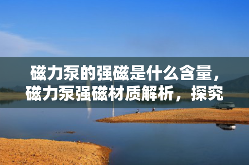 磁力泵的强磁是什么含量，磁力泵强磁材质解析，探究其关键元素含量