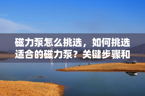 磁力泵怎么挑选，如何挑选适合的磁力泵？关键步骤和要点解析