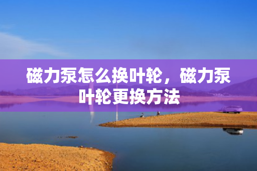 磁力泵怎么换叶轮，磁力泵叶轮更换方法