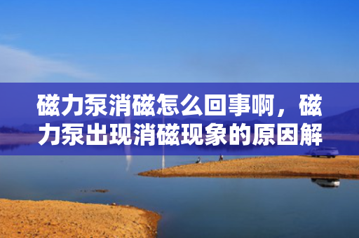 磁力泵消磁怎么回事啊，磁力泵出现消磁现象的原因解析