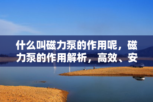 什么叫磁力泵的作用呢，磁力泵的作用解析，高效、安全、无泄漏的流体输送方案
