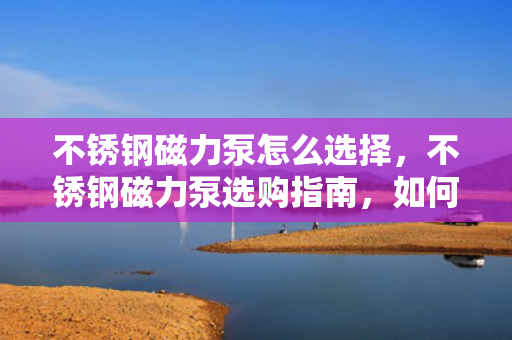 不锈钢磁力泵怎么选择，不锈钢磁力泵选购指南，如何做出明智的选择