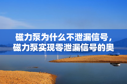 磁力泵为什么不泄漏信号，磁力泵实现零泄漏信号的奥秘解析