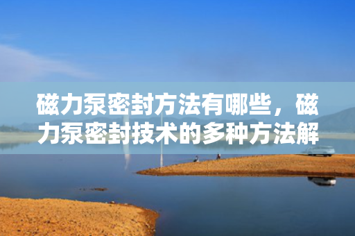 磁力泵密封方法有哪些，磁力泵密封技术的多种方法解析