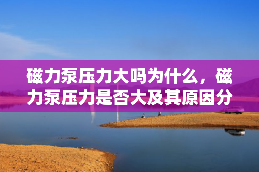 磁力泵压力大吗为什么，磁力泵压力是否大及其原因分析