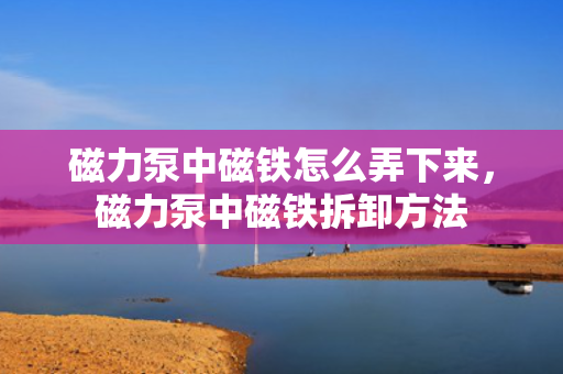 磁力泵中磁铁怎么弄下来，磁力泵中磁铁拆卸方法