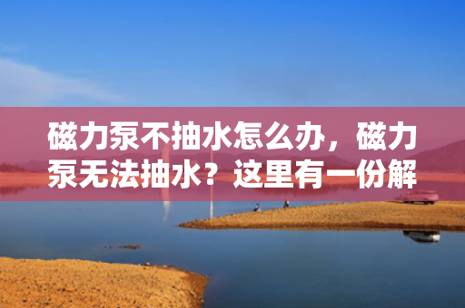 磁力泵不抽水怎么办，磁力泵无法抽水？这里有一份解决方案！