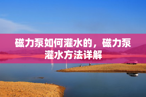 磁力泵如何灌水的，磁力泵灌水方法详解