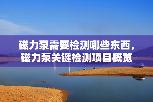 磁力泵需要检测哪些东西，磁力泵关键检测项目概览