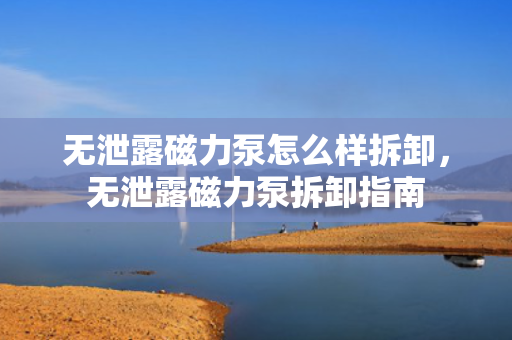 无泄露磁力泵怎么样拆卸，无泄露磁力泵拆卸指南