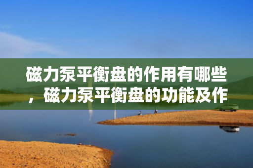 磁力泵平衡盘的作用有哪些，磁力泵平衡盘的功能及作用解析