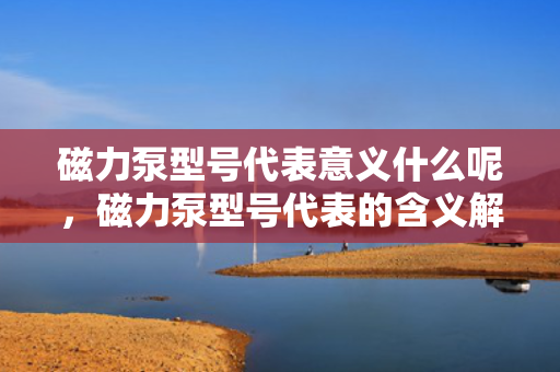 磁力泵型号代表意义什么呢，磁力泵型号代表的含义解析