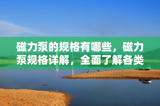 磁力泵的规格有哪些，磁力泵规格详解，全面了解各类磁力泵的技术参数与特点