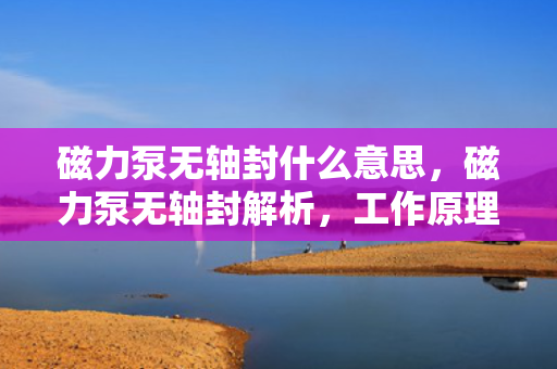 磁力泵无轴封什么意思，磁力泵无轴封解析，工作原理与优势