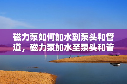 磁力泵如何加水到泵头和管道，磁力泵加水至泵头和管道的操作指南