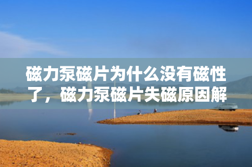 磁力泵磁片为什么没有磁性了，磁力泵磁片失磁原因解析