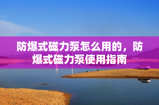 防爆式磁力泵怎么用的，防爆式磁力泵使用指南