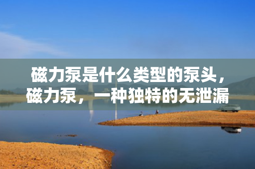 磁力泵是什么类型的泵头，磁力泵，一种独特的无泄漏泵头技术解析