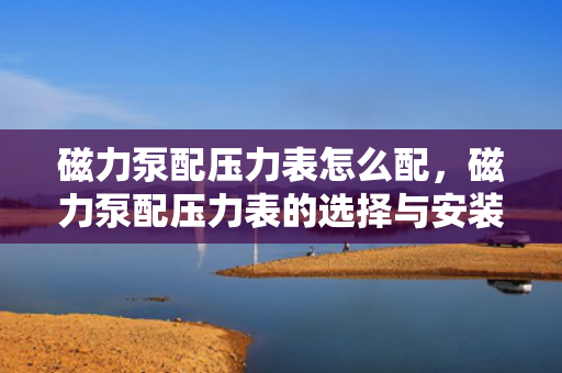 磁力泵配压力表怎么配，磁力泵配压力表的选择与安装指南