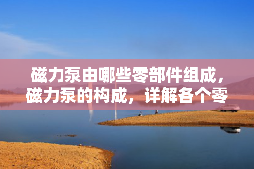 磁力泵由哪些零部件组成，磁力泵的构成，详解各个零部件及其作用