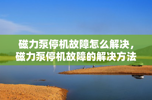 磁力泵?；收显趺唇饩?，磁力泵?；收系慕饩龇椒? title=
