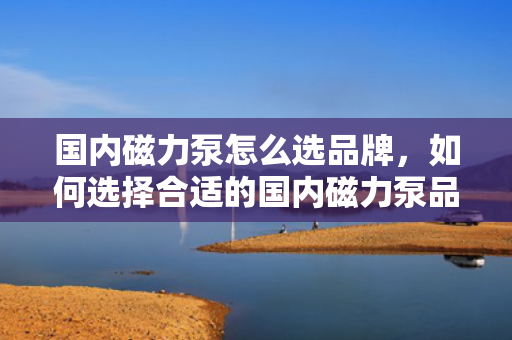 国内磁力泵怎么选品牌，如何选择合适的国内磁力泵品牌？