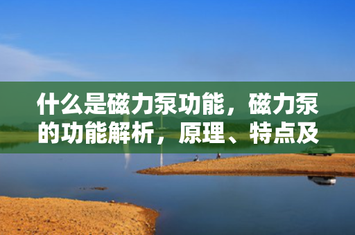 什么是磁力泵功能，磁力泵的功能解析，原理、特点及应用领域