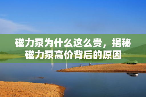 磁力泵为什么这么贵，揭秘磁力泵高价背后的原因