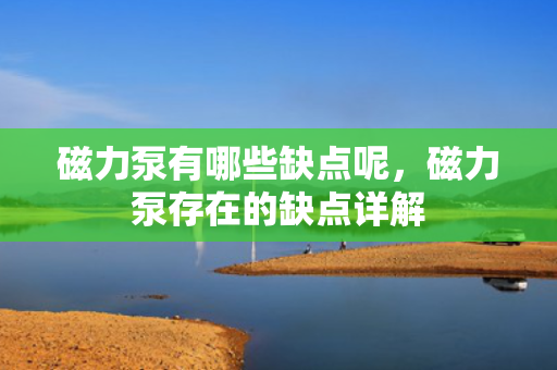 磁力泵有哪些缺点呢，磁力泵存在的缺点详解