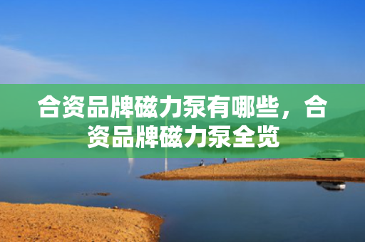 合资品牌磁力泵有哪些，合资品牌磁力泵全览