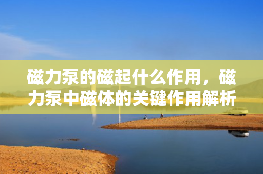 磁力泵的磁起什么作用，磁力泵中磁体的关键作用解析