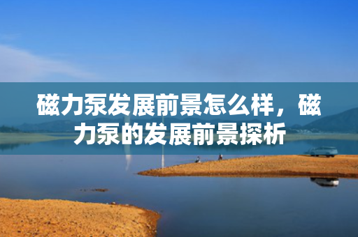 磁力泵发展前景怎么样，磁力泵的发展前景探析